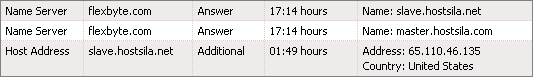 DNS Query